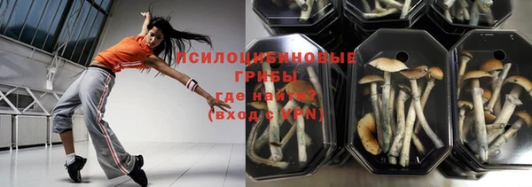 прущие грибы Бугульма