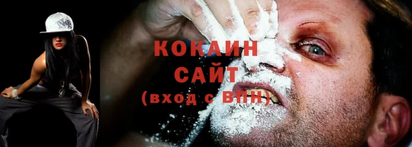 крисы Бронницы