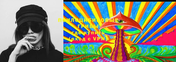 прущие грибы Бугульма
