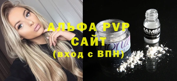 прущие грибы Бугульма