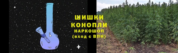 прущие грибы Бугульма