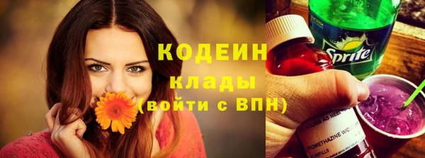 крисы Бронницы